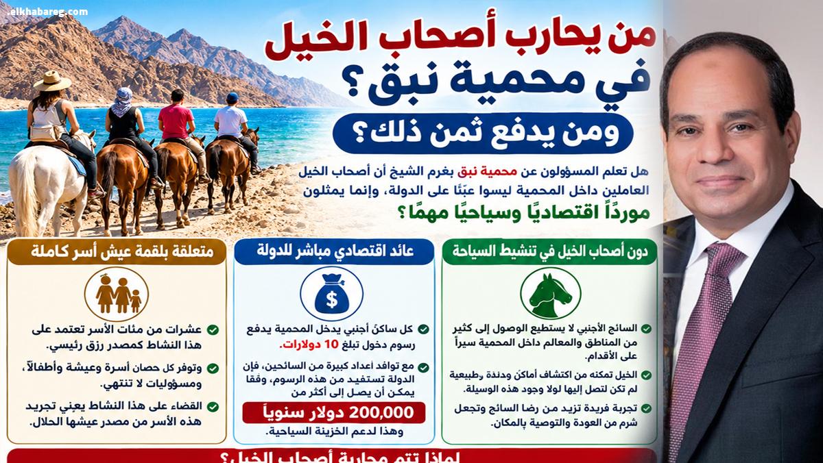 استغاثة السيد الرئيس عبد الفتاح السيسي رئيس جمهورية تحية تقدير واحترام