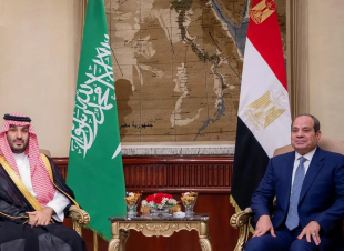 الرئيس السيسي خلال لقائه مدير الاستخبارات الأمريكية